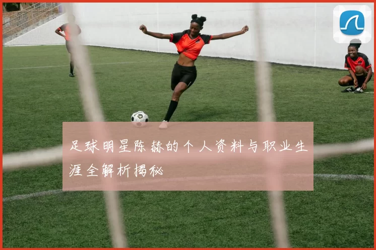 足球明星陈赫的个人资料与职业生涯全解析揭秘