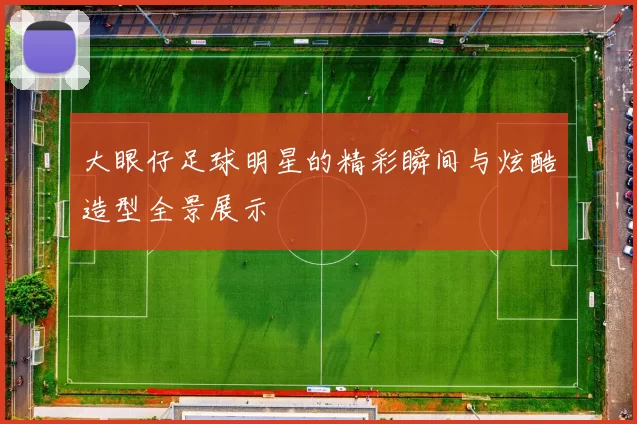 大眼仔足球明星的精彩瞬间与炫酷造型全景展示