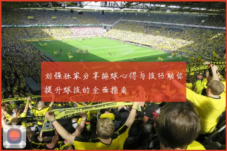 刘强独家分享排球心得与技巧助你提升球技的全面指南