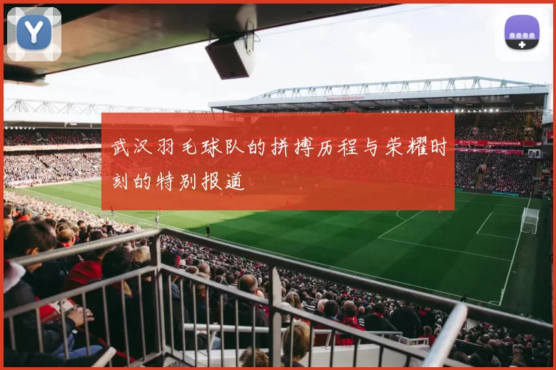 武汉羽毛球队的拼搏历程与荣耀时刻的特别报道