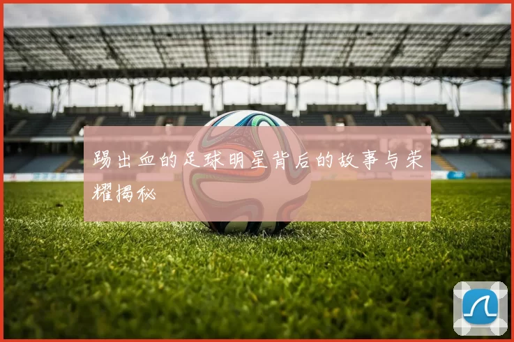 踢出血的足球明星背后的故事与荣耀揭秘