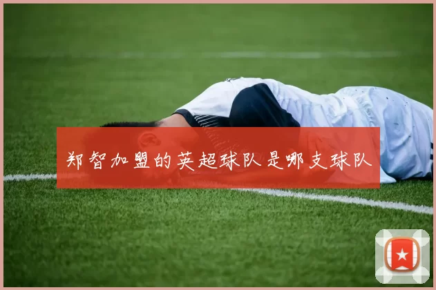 郑智加盟的英超球队是哪支球队