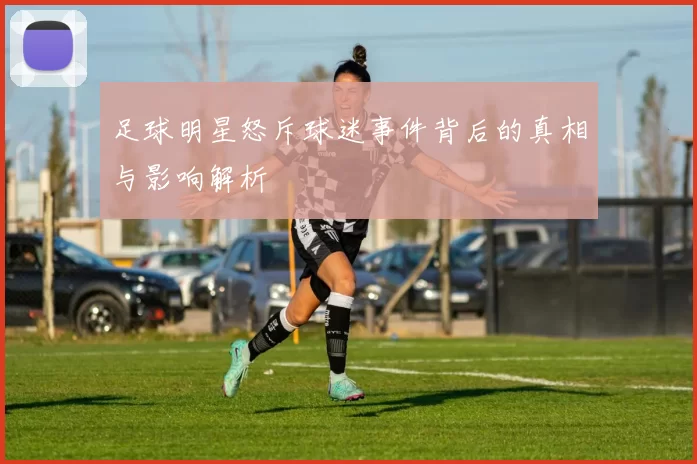 足球明星怒斥球迷事件背后的真相与影响解析