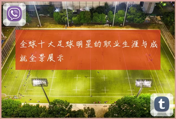 全球十大足球明星的职业生涯与成就全景展示