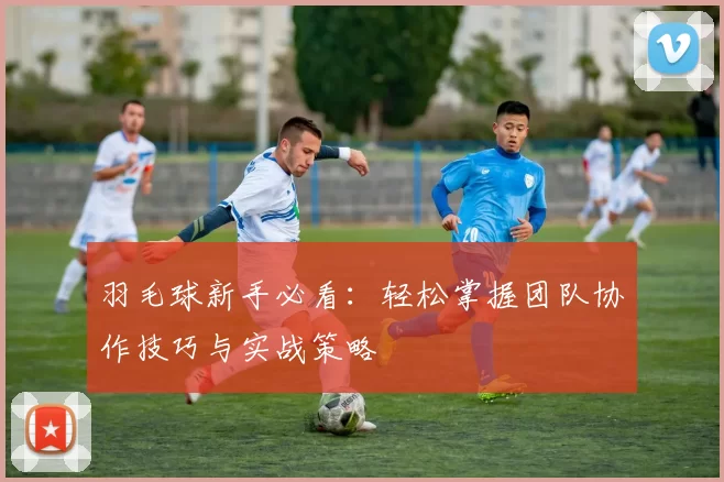 羽毛球新手必看：轻松掌握团队协作技巧与实战策略