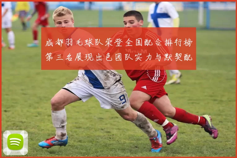 成都羽毛球队荣登全国配合排行榜第三名展现出色团队实力与默契配合