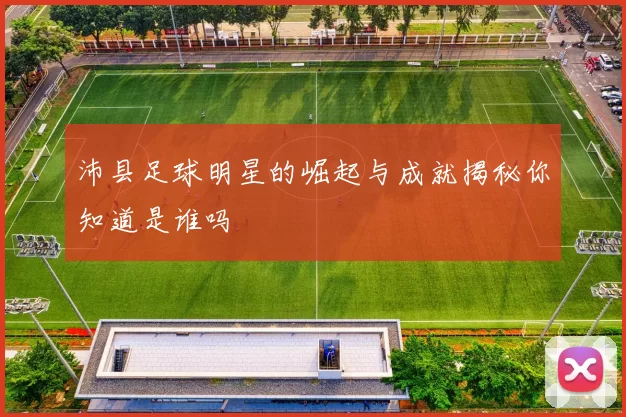 沛县足球明星的崛起与成就揭秘你知道是谁吗