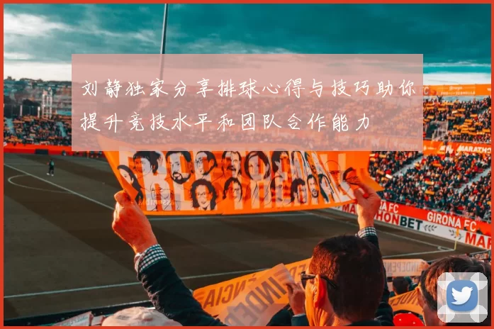 刘静独家分享排球心得与技巧助你提升竞技水平和团队合作能力