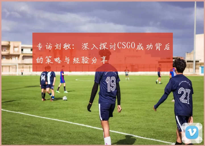 专访刘敏：深入探讨CSGO成功背后的策略与经验分享