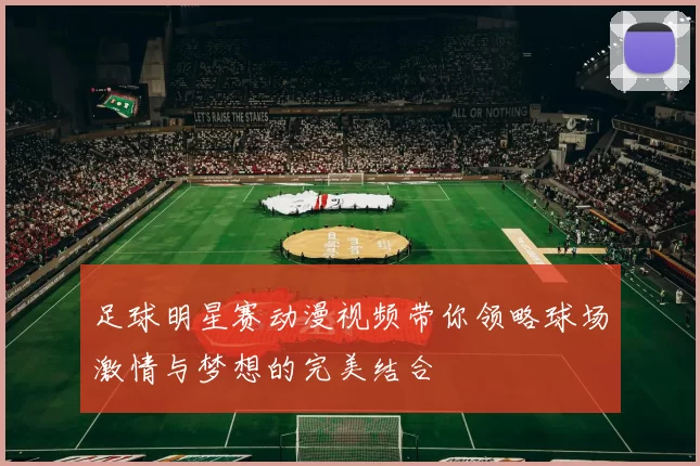 足球明星赛动漫视频带你领略球场激情与梦想的完美结合