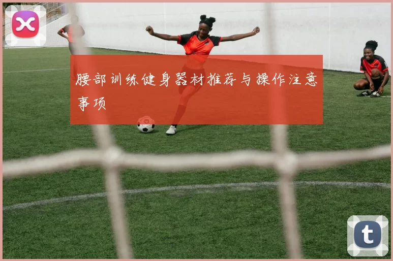腰部训练健身器材推荐与操作注意事项