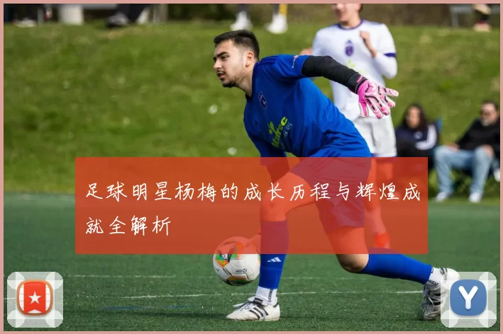 足球明星杨梅的成长历程与辉煌成就全解析