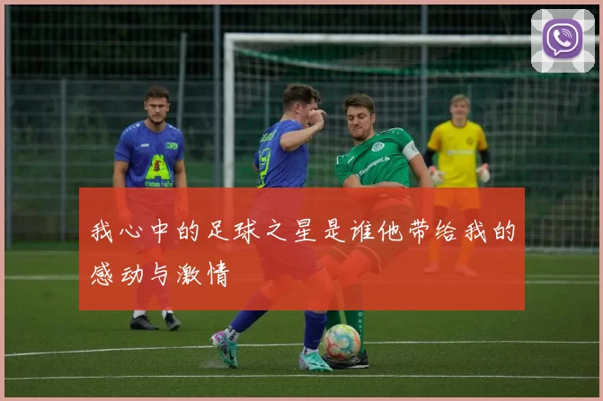 我心中的足球之星是谁他带给我的感动与激情