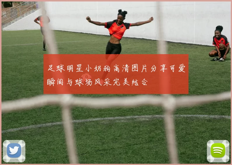 足球明星小奶狗高清图片分享可爱瞬间与球场风采完美结合