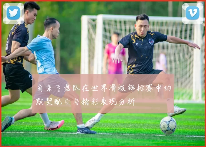 南京飞盘队在世界滑板锦标赛中的默契配合与精彩表现分析