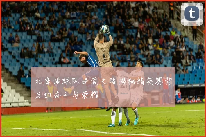 北京排球队逆袭之路揭秘精英赛背后的奋斗与荣耀