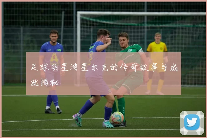 足球明星鸿星尔克的传奇故事与成就揭秘