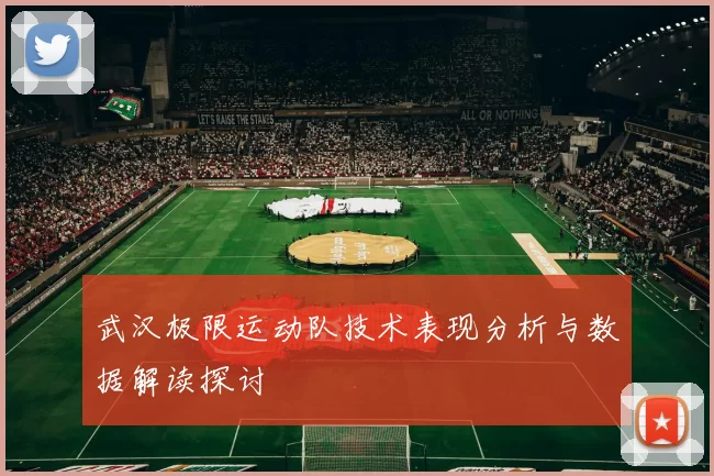 武汉极限运动队技术表现分析与数据解读探讨