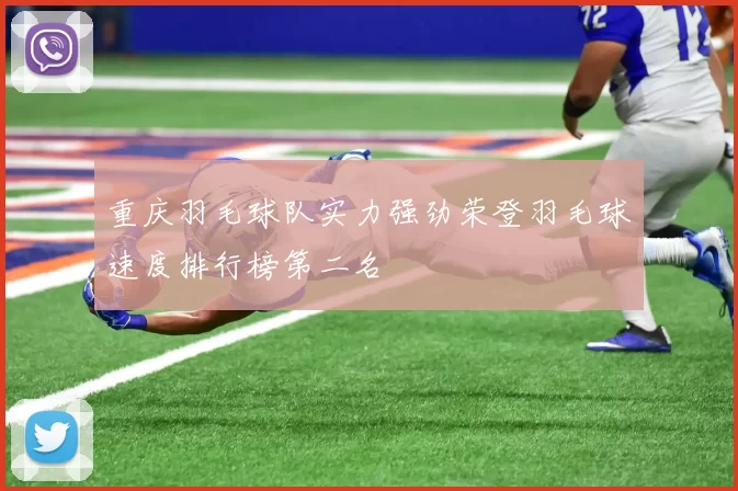 重庆羽毛球队实力强劲荣登羽毛球速度排行榜第二名